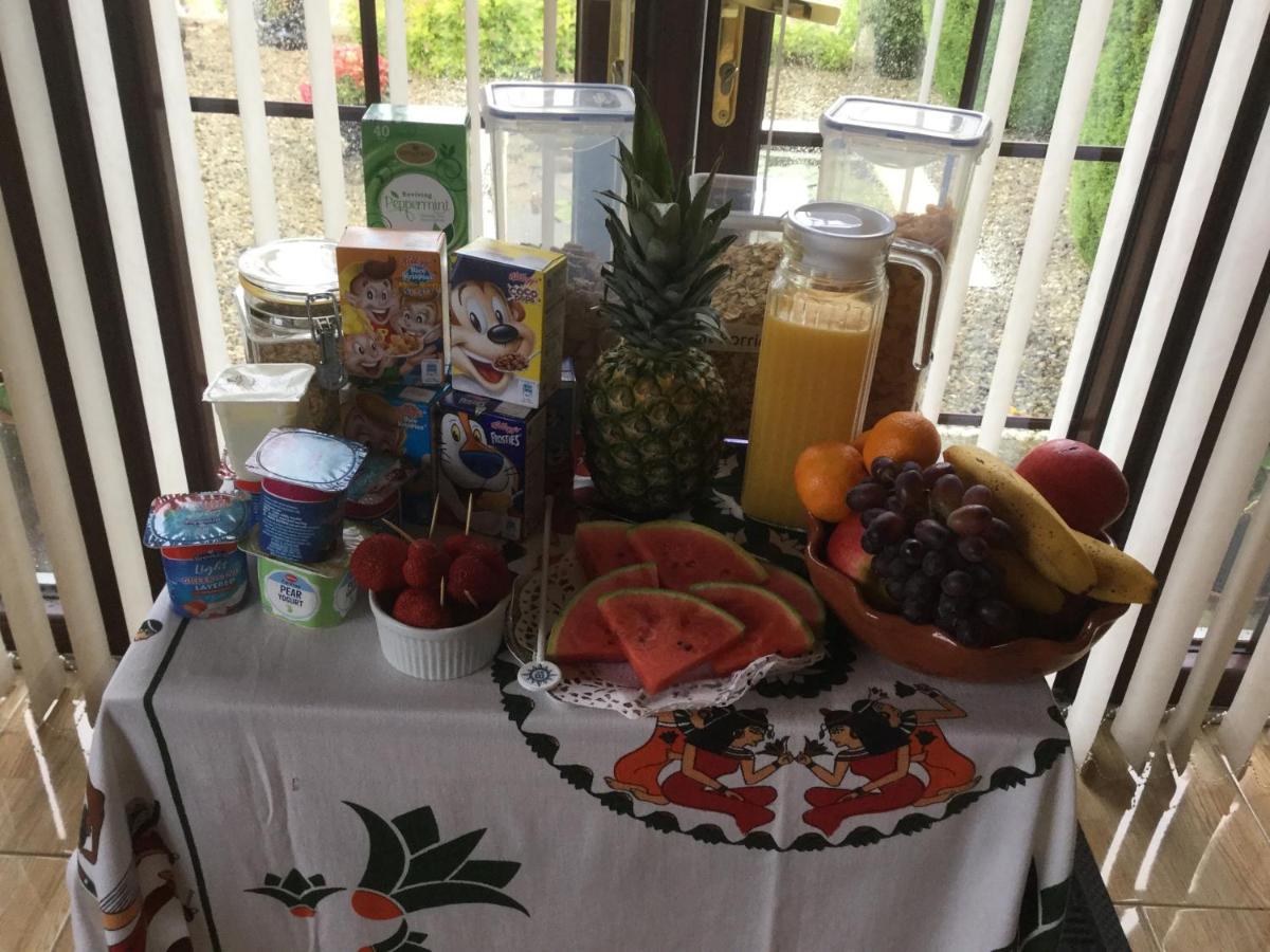 Weir View Bed And Breakfast Durrow Εξωτερικό φωτογραφία