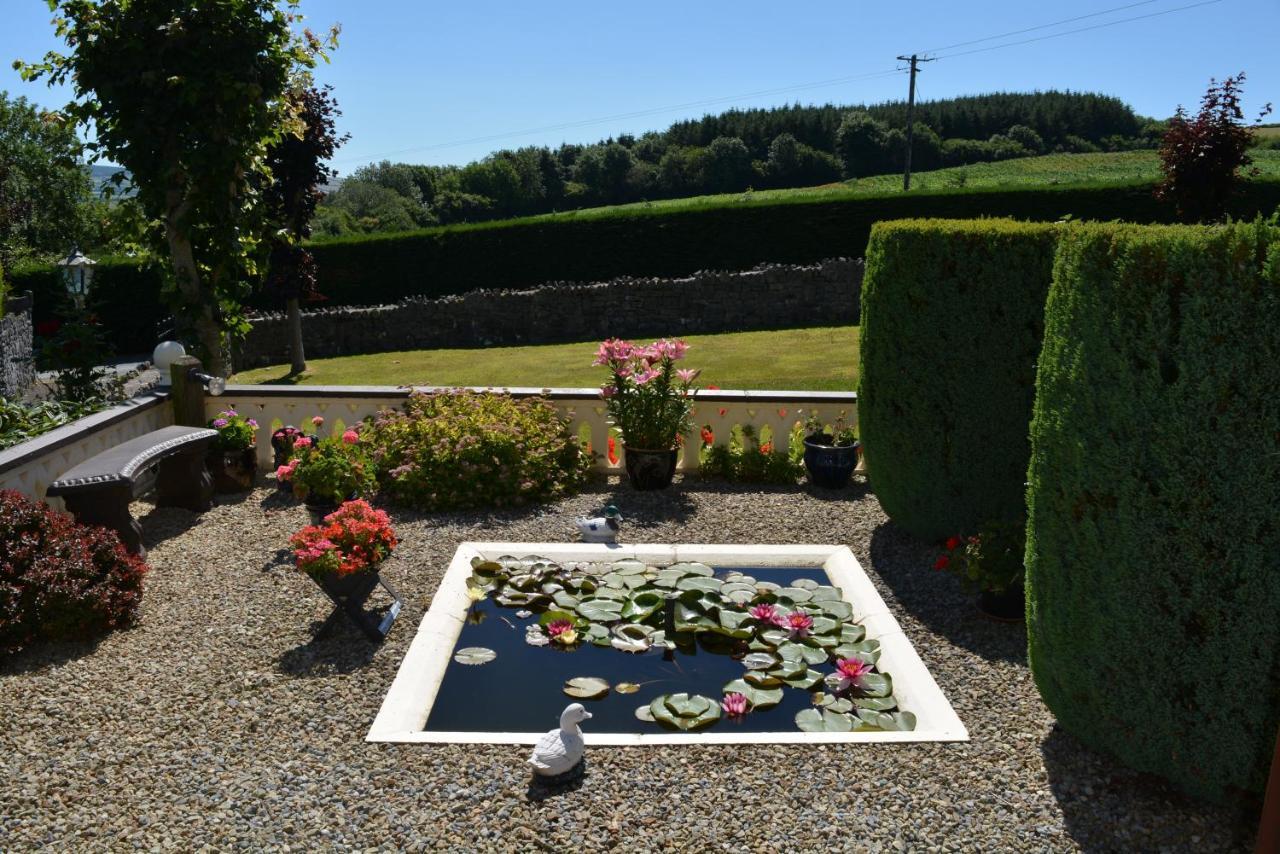 Weir View Bed And Breakfast Durrow Εξωτερικό φωτογραφία